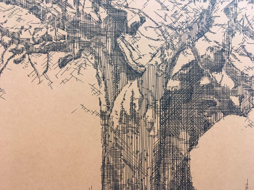 Adao Conde Baobab 02